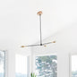 Canopy Swivel for Sloped Ceiling